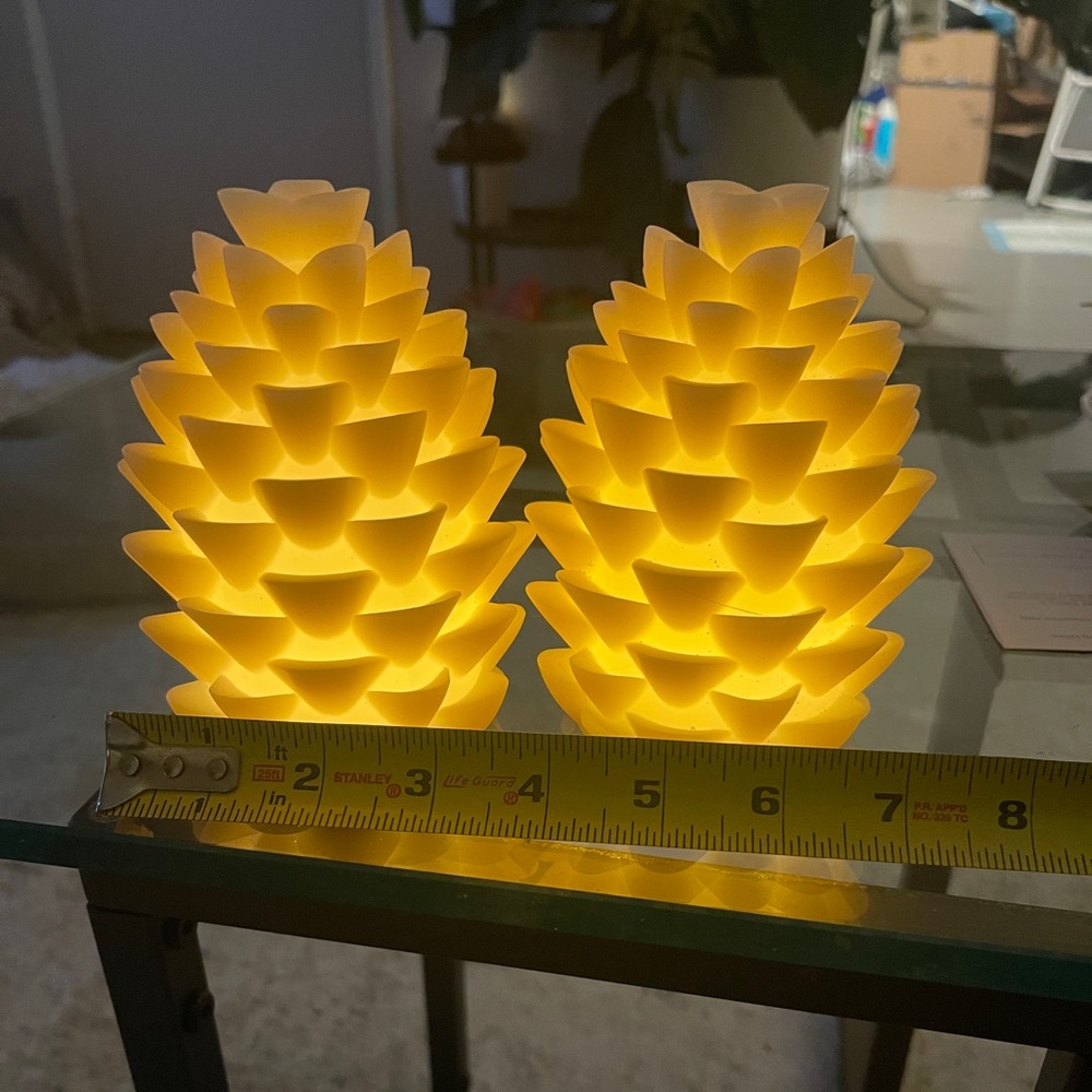 Pair of lighted pine cones